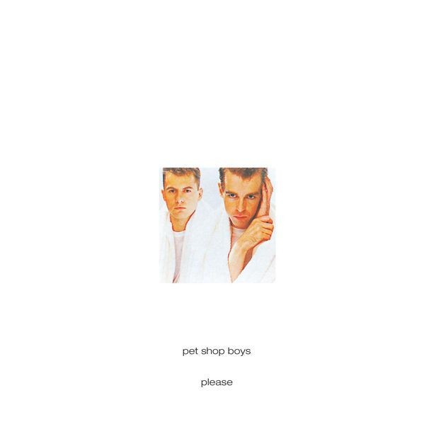 Pet Shop Boys (Please)