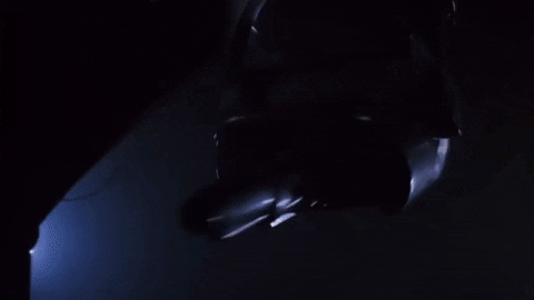 Terminator Giphy